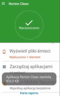 Norton cleaner