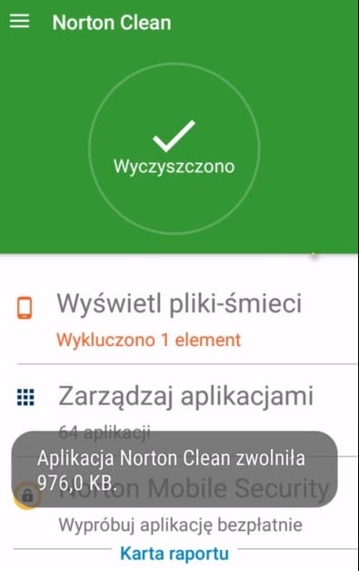 Norton cleaner
