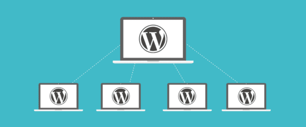 Custom WordPress - Multiple User