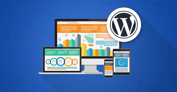 Custom WordPress Development - Plugins