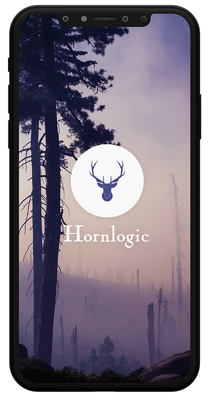 HornLogic