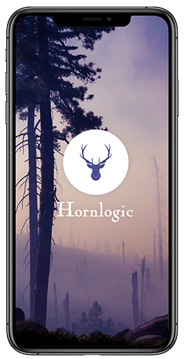 HornLogic