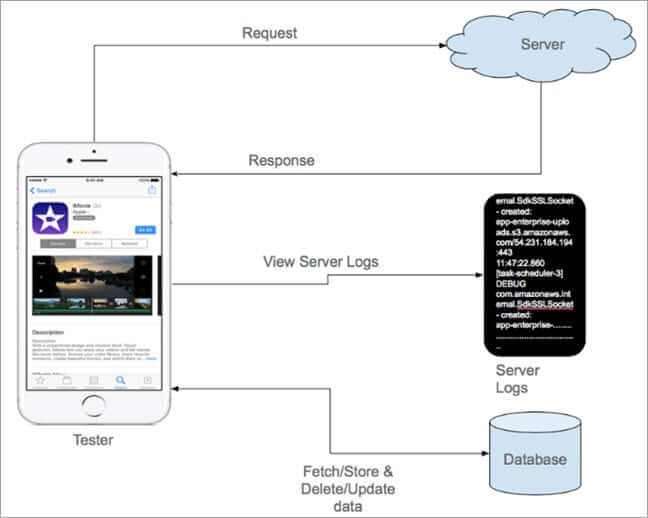 Testing Process