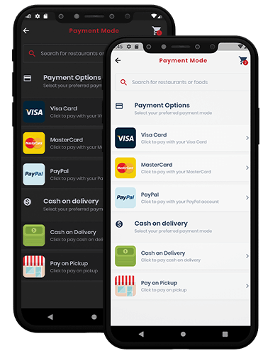dual payment gateway payment gateway