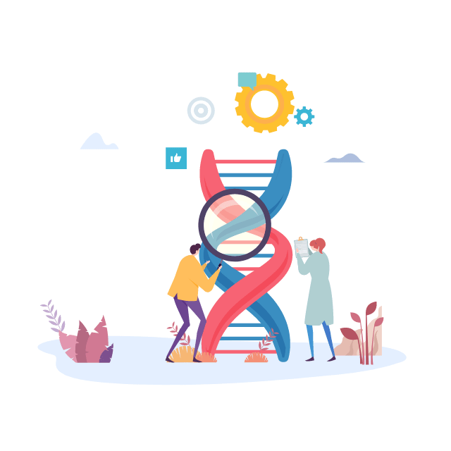 User experience design User experience design