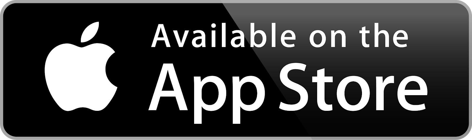 app store v21