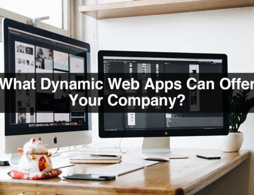 What Dynamic Web Apps Can Offer Your Company?