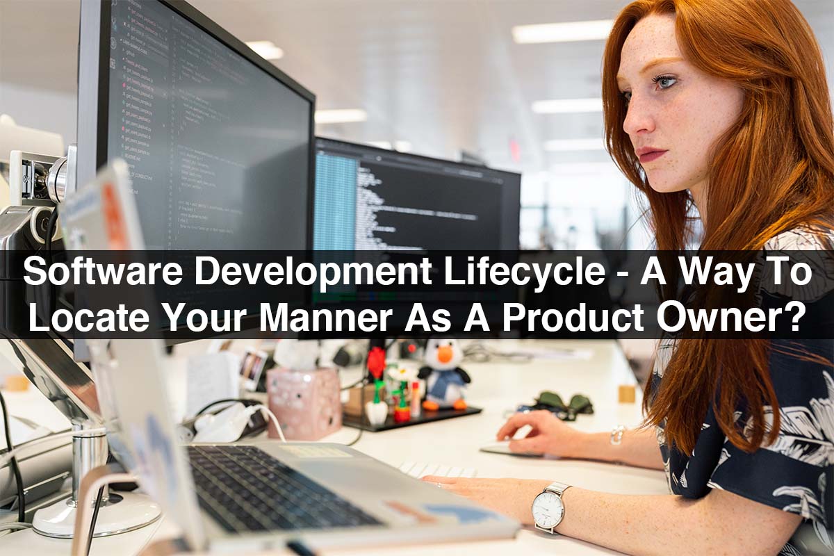 Software Development Lifecycle - A Way To Locate Your Product Owner?