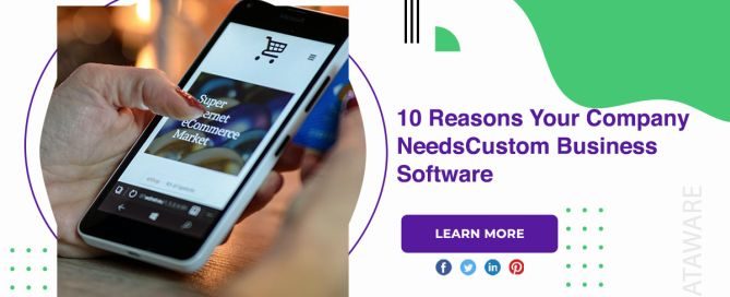 10 Reasons Your Company Needs Custom Business Software