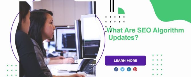 What Are SEO Algorithm Updates?