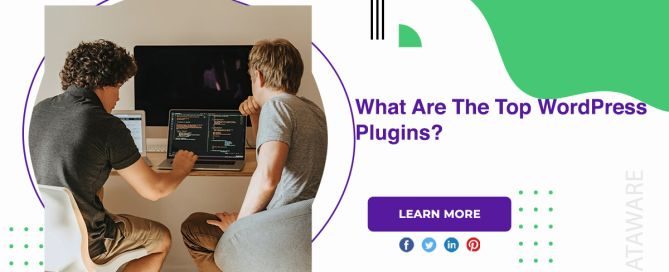 What Are The Top WordPress Plugins