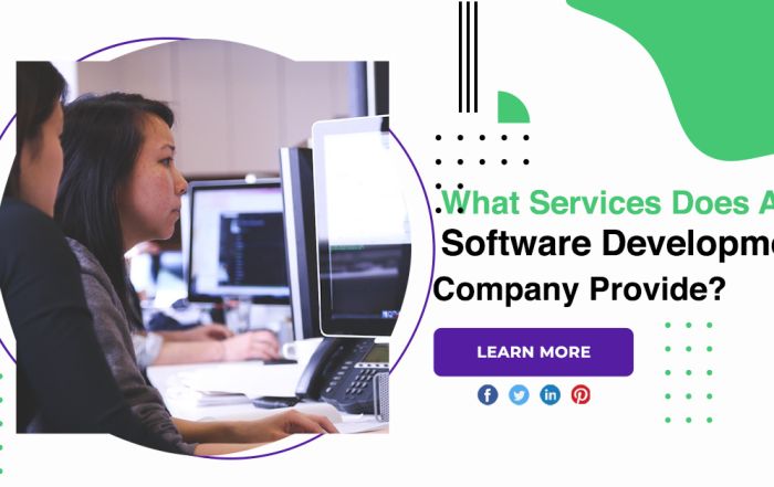 What Services Does A Software Development Company Provide?