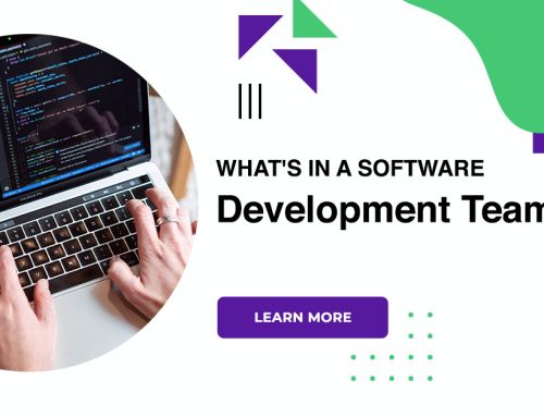 What’s In A Software Development Team?