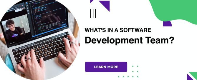 What's In A Software Development Team?