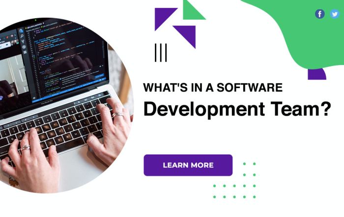 What's In A Software Development Team?