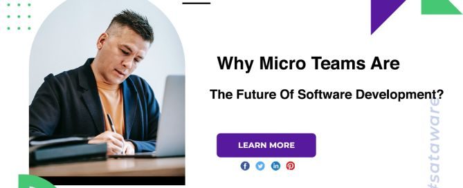 Why Micro Teams Are The Future Of Software Development?