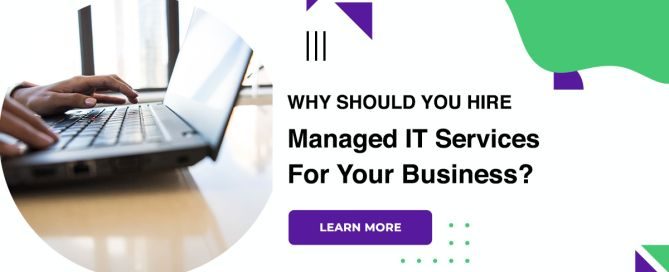 Why Should Your Business Invest In An End-To-End Custom Software Solution?