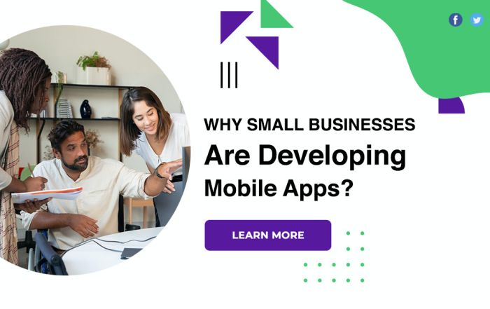 Why Small Businesses Are Developing Mobile Apps?