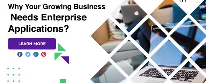 Why Your Growing Business Needs Enterprise Applications?