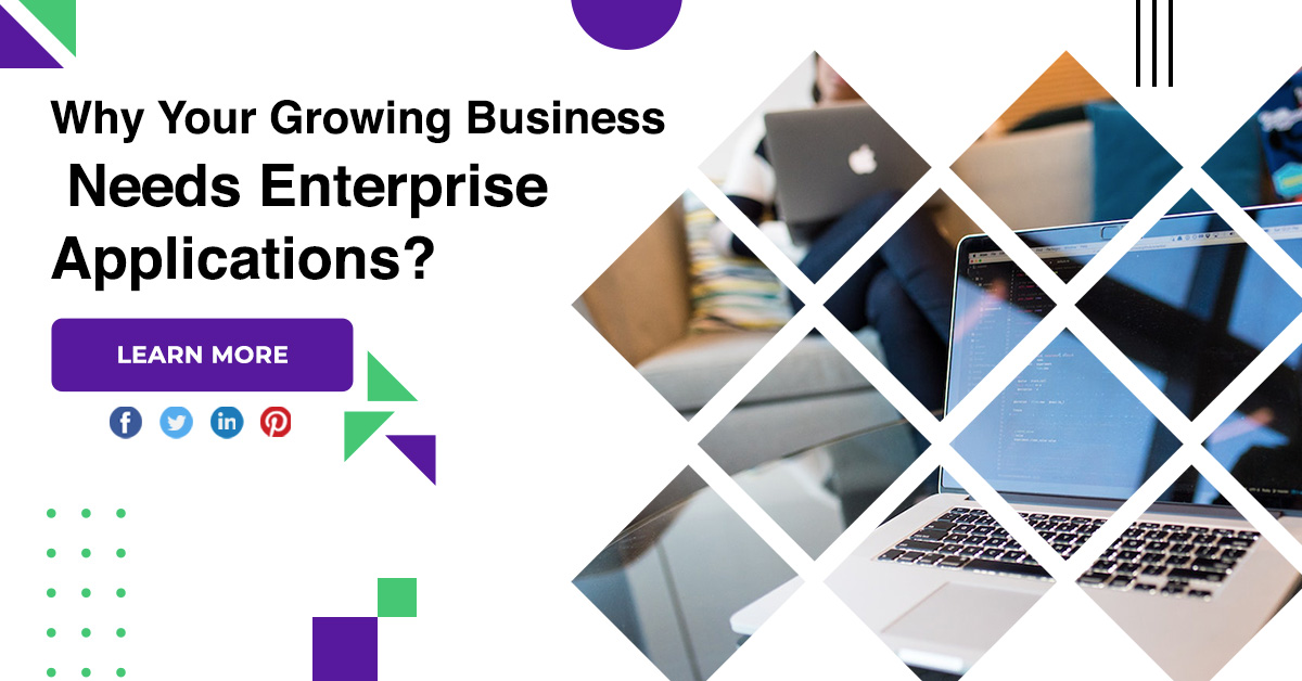 Why Your Growing Business Needs Enterprise Applications?