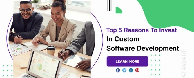 Top 5 Reasons To Invest In Custom Software Development