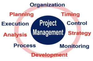 Project manager