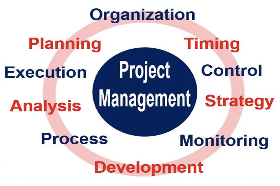 Project manager