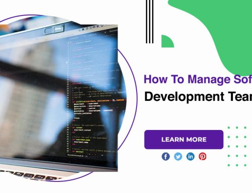 How To Manage Software Development Team?