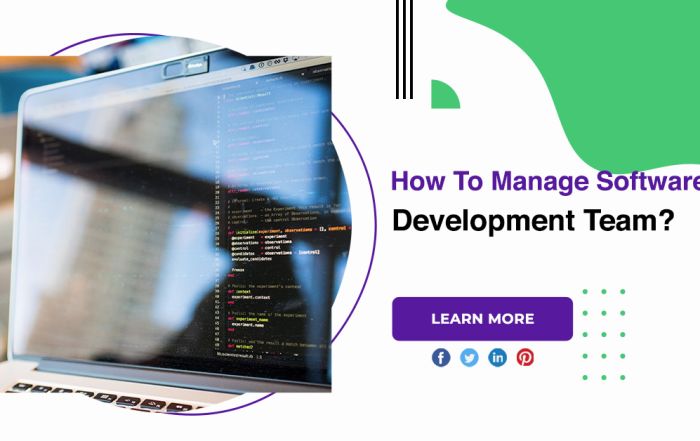 How To Manage Software Development Team?