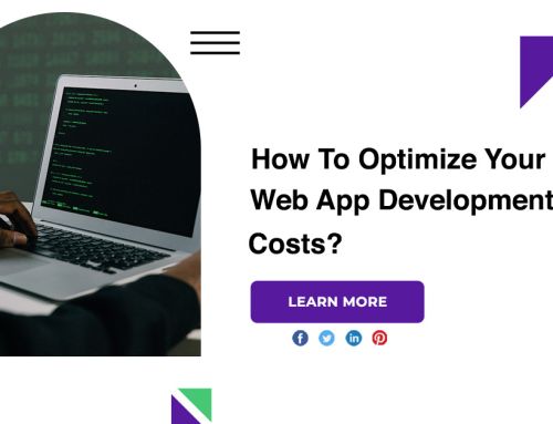 How To Optimize Your Web App Development Costs?
