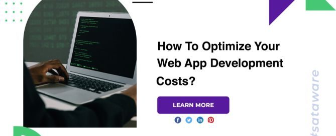 How To Optimize Your Web App Development Costs?