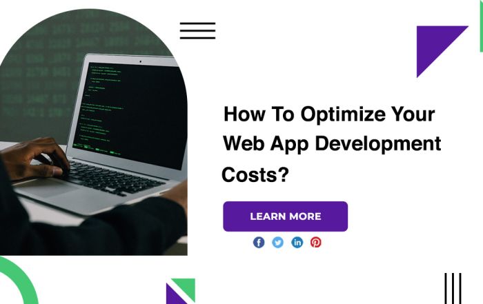 How To Optimize Your Web App Development Costs?