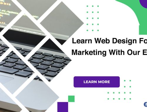 Learn Web Design For Marketing With Our Experts