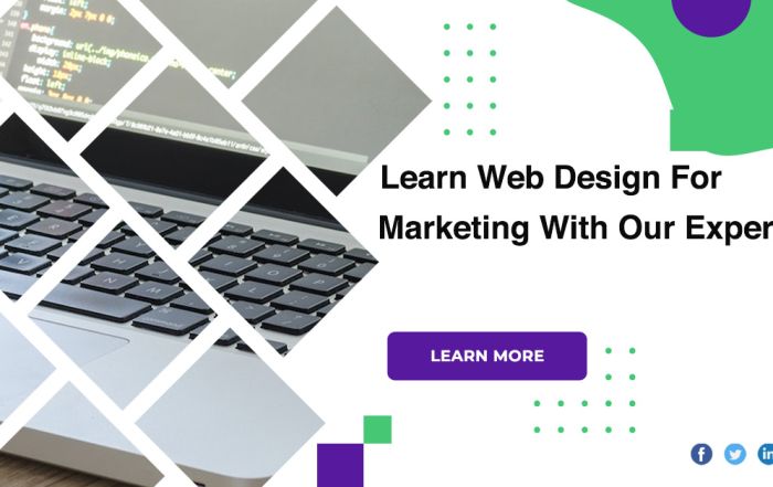 Learn Web Design For Marketing With Our Experts