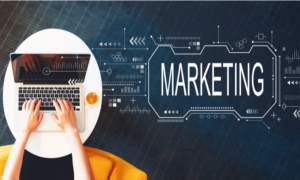 SEO And Content Marketing