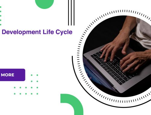 Software Development Life Cycle