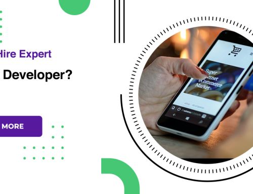 How To Hire Expert Python Developer?