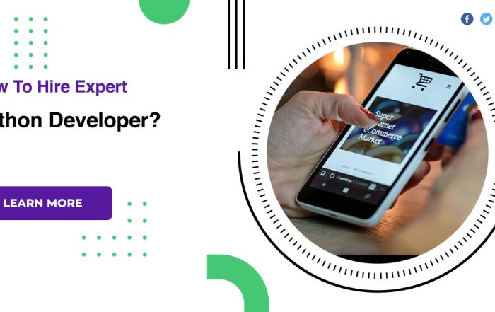 How To Hire Expert Python Developer?