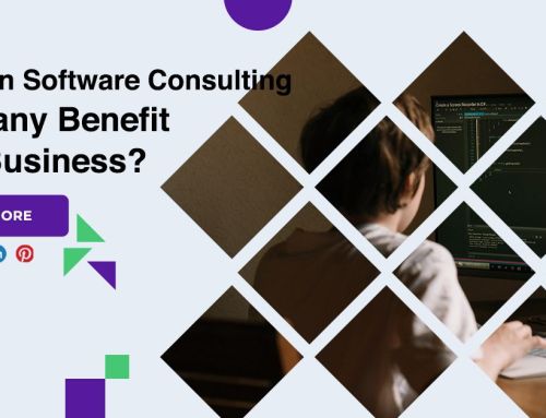 How Can Software Consulting Company Benefit Your Business?