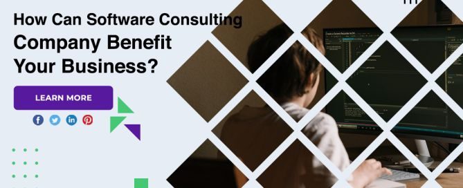 How Can Software Consulting Company Benefit Your Business?