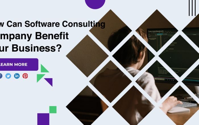 How Can Software Consulting Company Benefit Your Business?