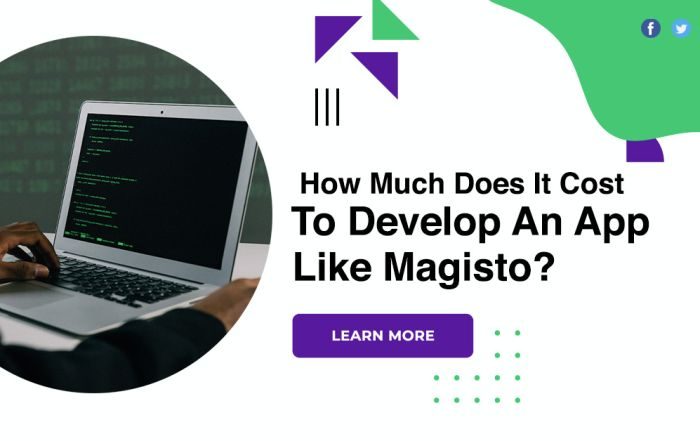 How Much Does It Cost To Develop An App Like Magisto?